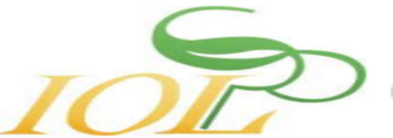 Screenshot 2024-11-01 121940 (1)